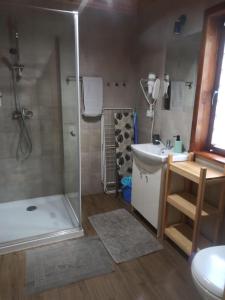 ein Bad mit einer Dusche, einem WC und einem Waschbecken in der Unterkunft Agroturystyka Uroki Roztocza in Zamość