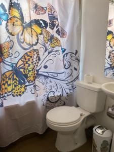 baño con aseo y cortina de ducha con mariposas en Casa 3 habitaciones exclusiva valle lo campino, en Santiago