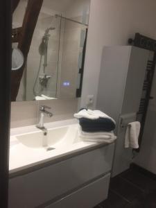 ein Bad mit einem Waschbecken und einem Spiegel in der Unterkunft T2 calme et chaleureux 1 à 5 pers in Alençon