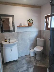 łazienka z toaletą i umywalką w obiekcie Agroturystyka w Maruszynie w mieście Maruszyna