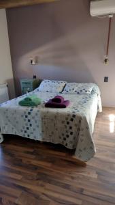 Schlafzimmer mit einem Bett und Holzboden in der Unterkunft Vistalba House in Ciudad Lujan de Cuyo
