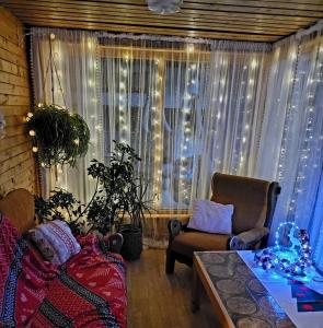 Atpūtas namiņš في Burtnieki: غرفة معيشة مع نافذة مع أضواء عيد الميلاد