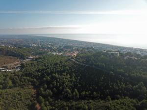 カステルデフェルスにあるViLLABELLAMAR Iの木々の森と海の空中風景