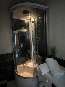 uma casa de banho com um chuveiro e uma banheira em Apartament Uroczysko em Kielce