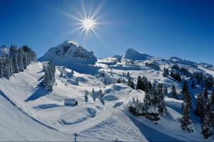 una montaña cubierta de nieve con el sol en el cielo en Magnifique Loft - Hyper Centre, en Annemasse