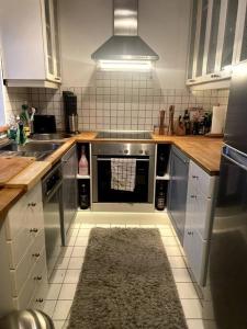 cocina con electrodomésticos de acero inoxidable y alfombra en Die Feelgood-Wohnung am Mondsee, en Mondsee