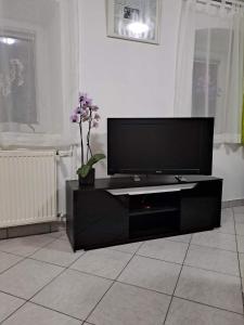 a black entertainment center with a flat screen tv in a living room at Apartma B & O in Idrija