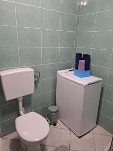 Baño pequeño con aseo y lavamanos en Apartma B & O en Idrija