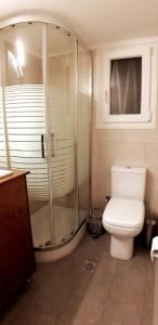 a bathroom with a shower and a white toilet at Modern home, 6' from the Metro in Athens