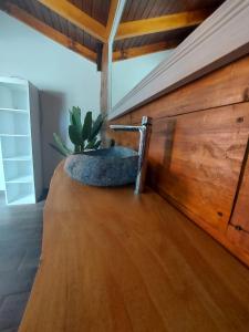 - un lit avec un cactus au-dessus d'un mur en bois dans l'établissement Casona de Campo Los Nogales, à Santa Rosa de Calamuchita