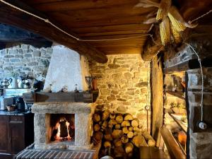 萊昂的住宿－Elpajardeportilla，厨房里设有石头壁炉,厨房里放着一堆木柴