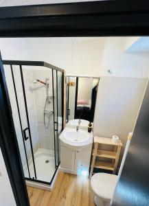 a bathroom with a toilet and a shower and a sink at Studio Montagne - Plein Soleil et Terrasse in Briançon