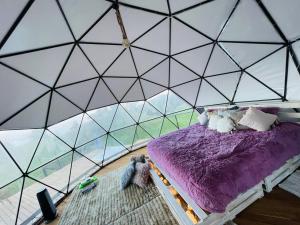 MurilloにあるStellarium Glampingのベッドルーム(紫色のベッド1台付きのテント付)