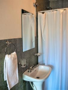 baño con lavabo y cortina de ducha blanca en Hostería Punta Sur en Lago del Desierto en El Chaltén