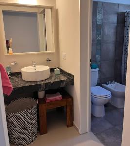 W łazience znajduje się umywalka, toaleta i lustro. w obiekcie Depto Tatiana zona céntrica Carlos Paz w mieście Villa Carlos Paz