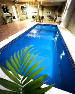 a blue swimming pool with a plant next to it at Departamentos El Chileno in Puerto Iguazú