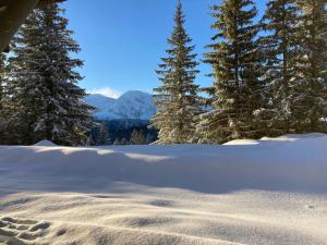 Zdjęcie z galerii obiektu Charmant T2 proche des pistes superbe vue w mieście Chamrousse