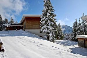 a house is covered in snow with a tree at Charmant T2 proche des pistes superbe vue in Chamrousse