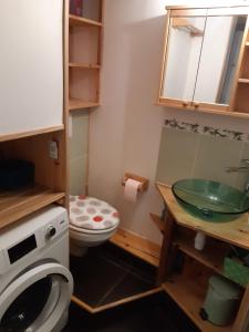 a bathroom with a toilet and a sink and a washing machine at Studio cosy Wifi Les Deux Alpes centre in Les Deux Alpes