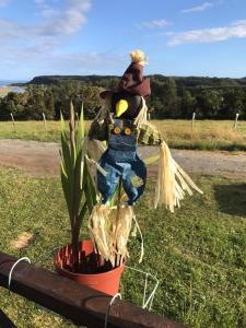 a statue of a scarecrow standing next to a plant at Cabañas Nuestro Sueño in Aucho +50 photos