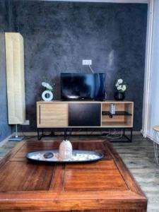 Televízia a/alebo spoločenská miestnosť v ubytovaní Charmant appartement cosy 3 chambres