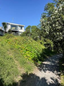 uma estrada de terra que leva até uma casa numa colina em Waihi Beach B&B em Waihi Beach
