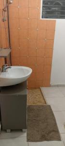 ein Badezimmer mit einem weißen Waschbecken und einer braunen Wand in der Unterkunft L'étonnant F3 Joris in Saint-Pierre