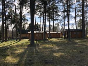 un groupe de cabines dans une forêt plantée d'arbres dans l'établissement Maja saunaga, à Rõmeda