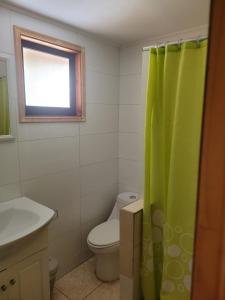 a bathroom with a toilet and a green shower curtain at Townhouse Millatray in Caburgua +38 photos
