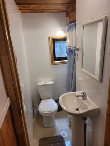 a small bathroom with a toilet and a sink at Townhouse Millatray in Caburgua