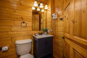 a bathroom with a toilet and a sink at Voted #1 Cabin in Smokys! Spa, Arcade, Private, Creek, King Beds in Sevierville