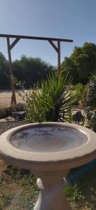 A garden outside Kineterra spa
