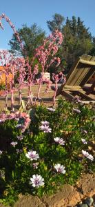 A garden outside Kineterra spa