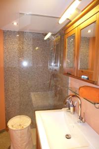 een badkamer met een wastafel en een douche bij Ferienhaus Waltersdorf in Großschönau