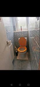 a small bathroom with a toilet with a window at Nice Shared Flat in London