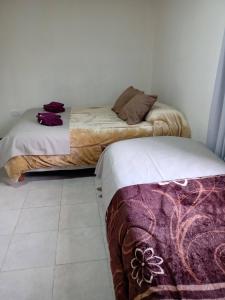 Katil atau katil-katil dalam bilik di Calido alojamiento