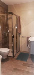 a bathroom with a shower and a toilet and a sink at Desy miniapp Full a 2km da Pedavena in Pedavena