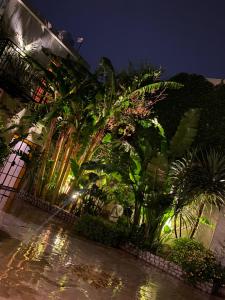 a bunch of plants in front of a building at night at Tanah Loft - in Villa Mercedes