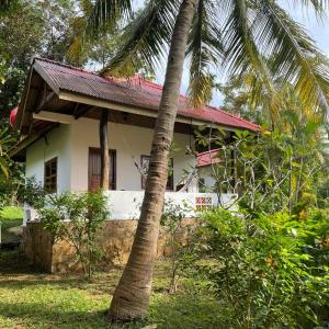 a house with a palm tree in front of it at Kep Lodge in Kep