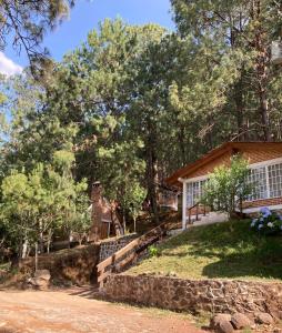 uma casa na floresta com uma parede de pedra em Cabañas las Alazanas em Mazamitla