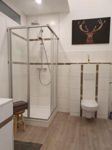 a bathroom with a shower stall and a toilet at Ferienwohnung Naturpark Schwarzwald in Löffingen