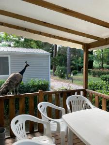 a goose standing on a deck with a table and chairs at Mobil Home Camping ARGELÈS SUR MER in Argelès-sur-Mer