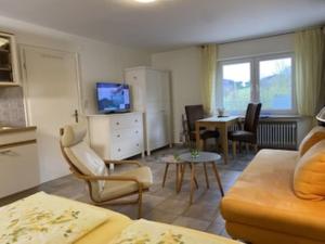een woonkamer met een bank, een tv en een tafel bij Auwers Haus komplett zur Alleinnutzung - 3 Wohneinheiten in Schmallenberg