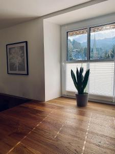 Foto sihtkohas Bad Gastein asuva majutusasutuse Chalet Badberg galeriist