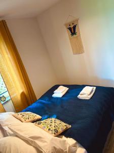 1 dormitorio con 1 cama azul y 2 almohadas en Skoczybruzda Apartamenty, en Chmielno