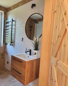 een badkamer met een wastafel en een spiegel bij Skoczybruzda Apartamenty in Chmielno