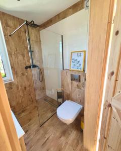La salle de bains est pourvue d'une douche et de toilettes. dans l'établissement Skoczybruzda Apartamenty, à Chmielno