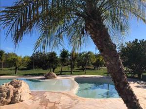 Φωτογραφία από το άλμπουμ του Superbe villa avec piscine en algarve σε Algoz