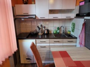 a small kitchen with a sink and a counter at Penzion U Elišky in Liberec