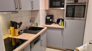 a white kitchen with a sink and a refrigerator at PEMATRA Ferienwohnung Seeschwalbe in Travemünde